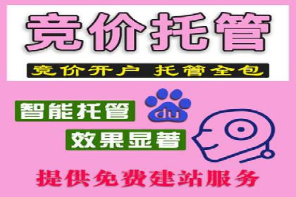 经典案例：信息流广告投放公司的成功之路